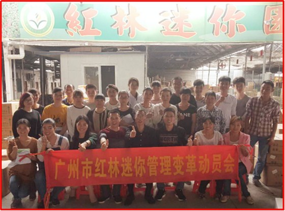 澤亞咨詢之熱烈祝賀廣州紅林迷你園藝咨詢項(xiàng)目啟動